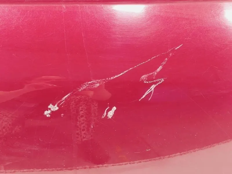 Portello POST 1689787080 Fiat 500L 2013