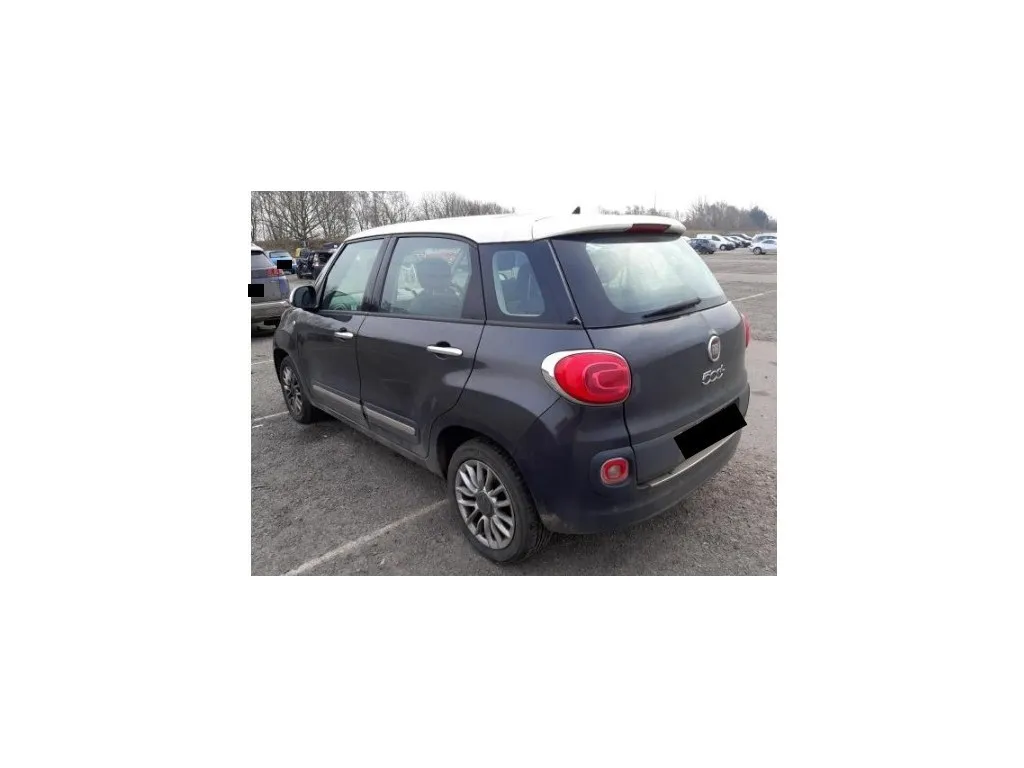 Portello POST 1689787080 Fiat 500L 2013
