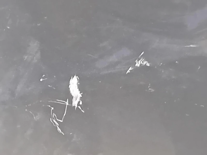 Parafango ANT DX 5216949 Ford KUGA II 2013