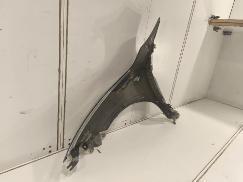 Parafango ANT DX F31001KKAA Nissan JUKE I 2010