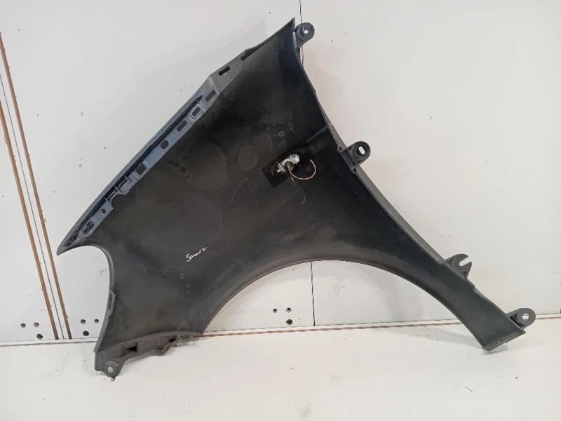 Parafango ANT DX A45388103009999 Smart Forfour 453 2015