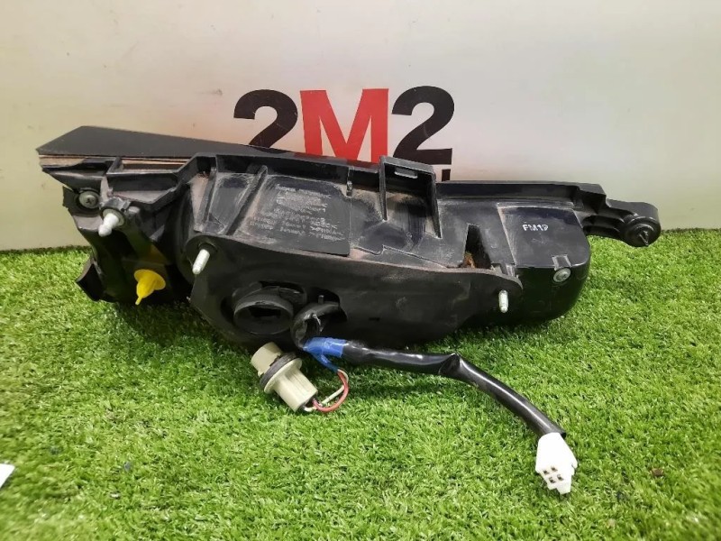 Fanale INT POST DX 8158178010 Lexus Serie NX 2015