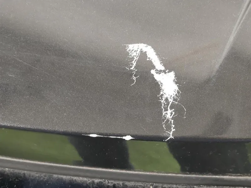 Portello POST 4817858 Opel Antara A 2011