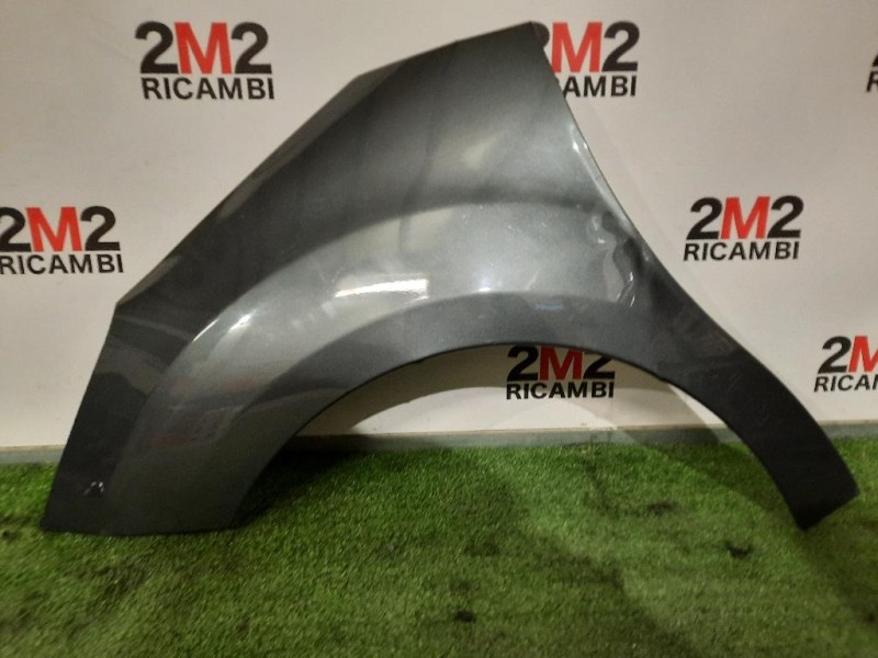 Parafango ANT SX DIFFETTI IN FOTO Citroen C3 II 2010