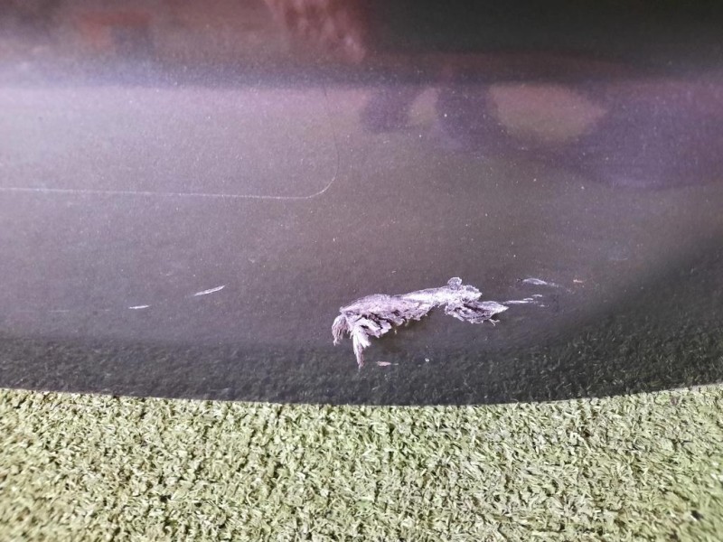 Portello POST 1637300580 Peugeot 508 II SW 2018