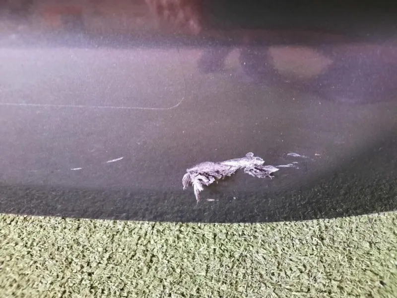 Portello POST 1637300580 Peugeot 508 II SW 2018