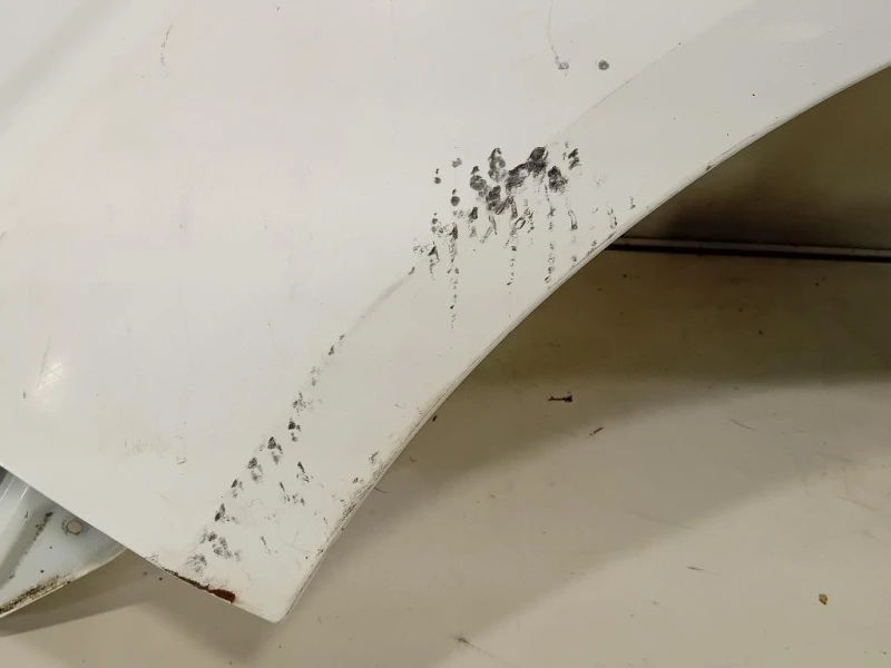 Parafango ANT SX F31014X0MA Nissan Navara 2010