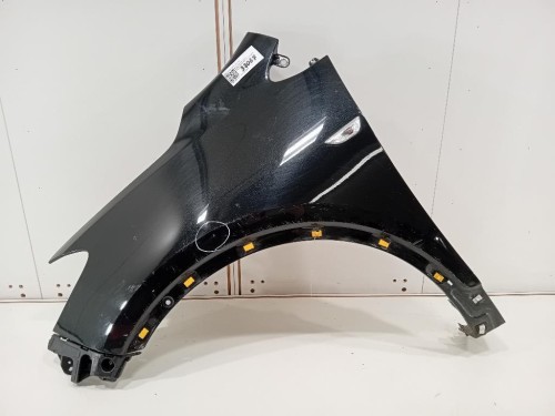 Parafango ANT SX