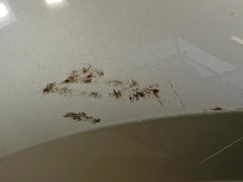 Parafango ANT SX 42372137 Opel Mokka 2013