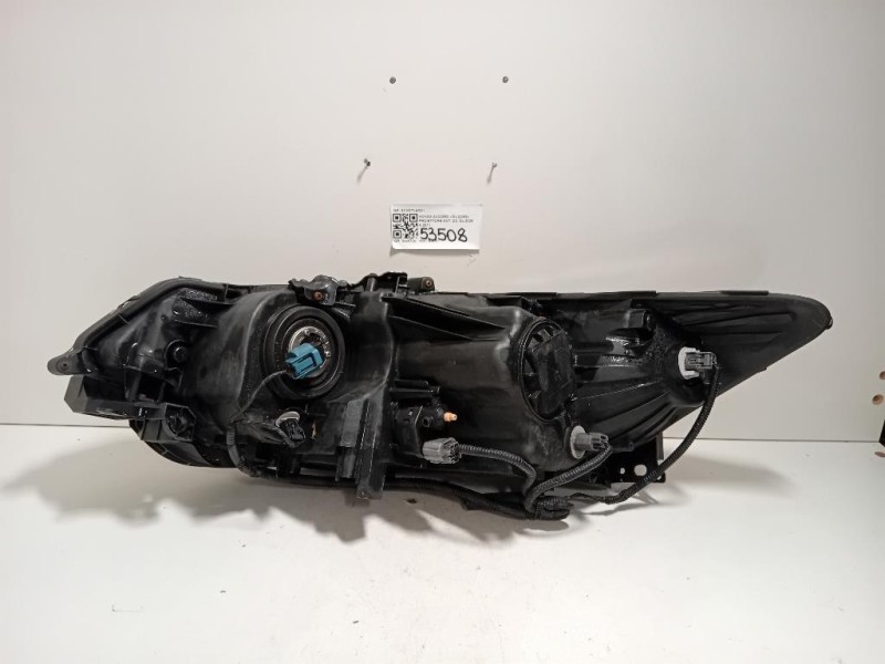 Proiettore ANT DX 33100TL0G01 Honda Accord IX 2009