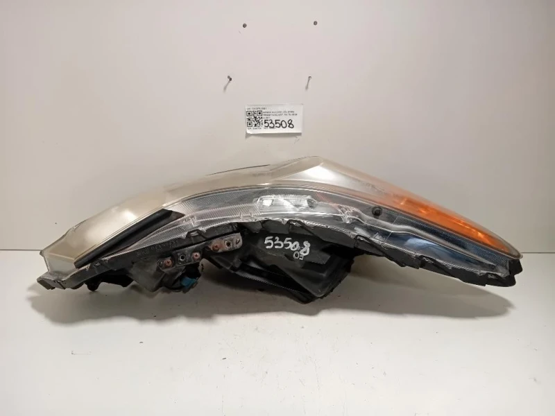 Proiettore ANT DX 33100TL0G01 Honda Accord IX 2009