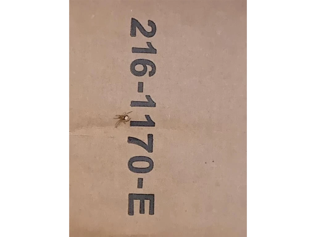 Proiettore ANT DX 216-1170 E Mazda 2 III 2014