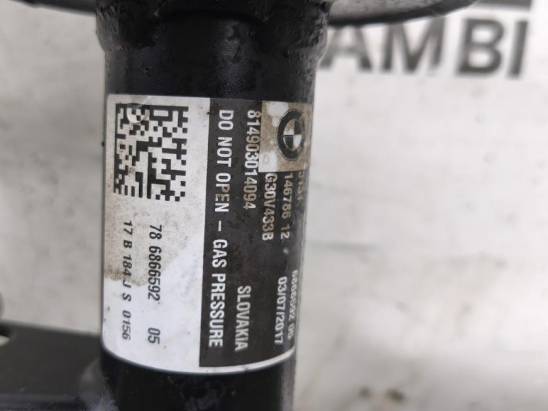 Ammortizzatore ANT DX 6866592 Bmw Serie 5 G30 Berlina 2016