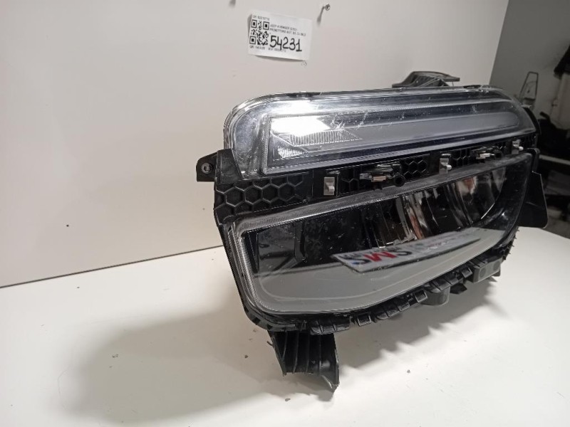 Fanale Retromarcia POST SX 7191767 Bmw Z4 E89 Cabrio 2009