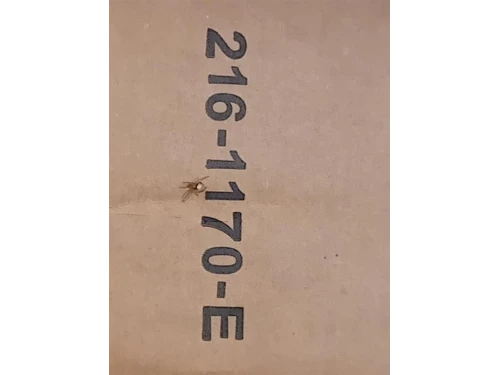 Proiettore ANT SX 216-1170 E Mazda 2 III 2014