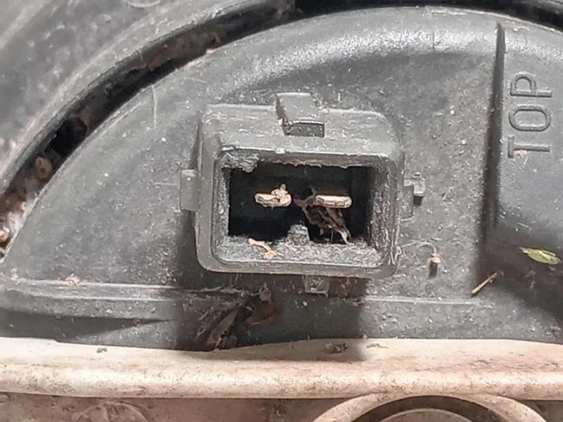 Fendinebbia ANT DX 36000748 Fiat Ulysse II 2002