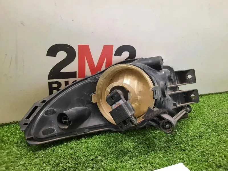 Fendinebbia ANT SX 13226828 Opel Insignia A 2009