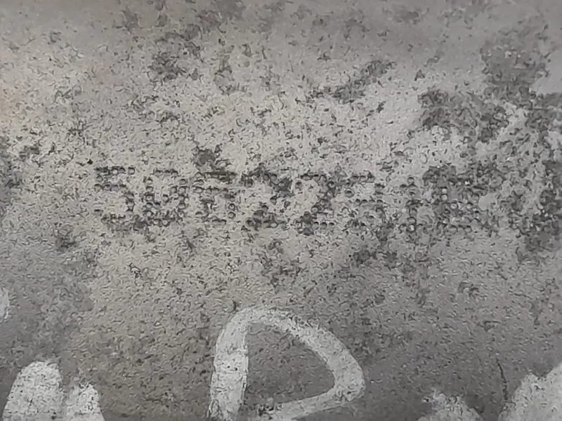 Filtro Carburante 506228H Alfa Romeo Giulietta 2010