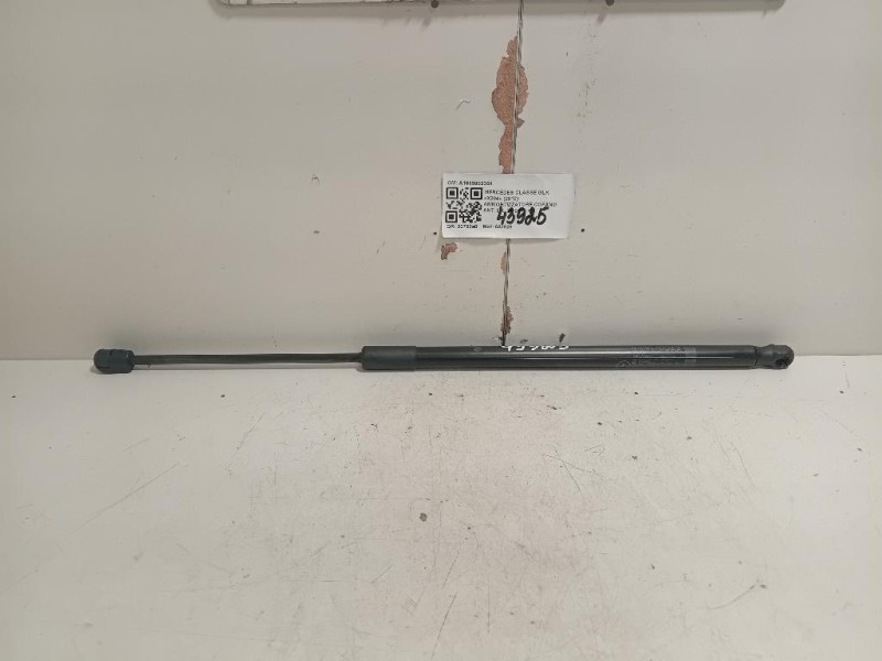 Ammortizzatore Cofano ANT DX A1669802364 Mercedes Classe GLE W166 2015