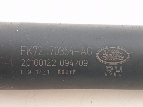 Ammortizzatore Idraulico Portello POST 726315508726815608 DX+SX Bmw Serie 3 F30 Berlina 2012