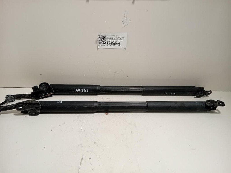 Ammortizzatore Idraulico Portello POST 726315508726815608 DX+SX Bmw Serie 3 F30 Berlina 2012