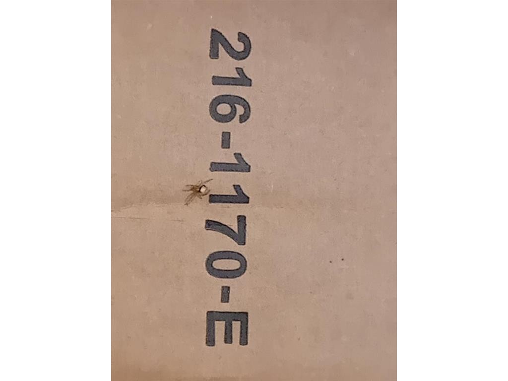 Proiettore ANT SX 216-1170 E Mazda 2 III 2014