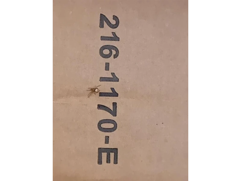 Proiettore ANT SX 216-1170 E Mazda 2 III 2014