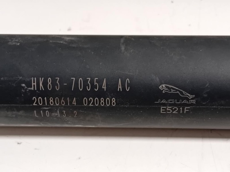 Ammortizzatore Idraulico Portello POST HK83-70354AC DX+SX Jaguar F-pace 2015