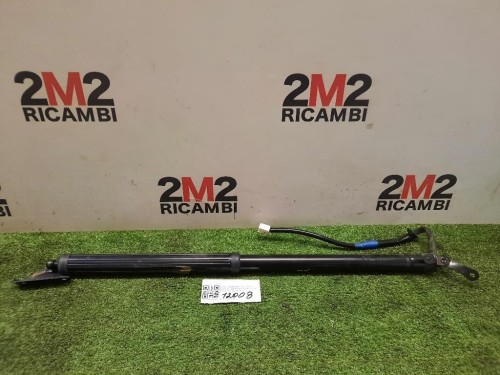 Ammortizzatore Portello POST DX 51247232004 Bmw X3 F25 2014