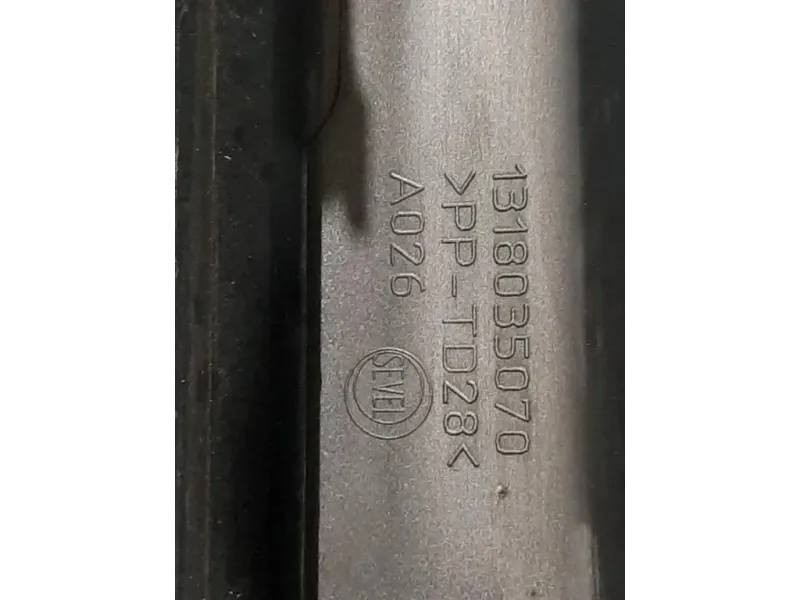 Griglia Cofano ANT 1318035070 Fiat Ducato 290 2014