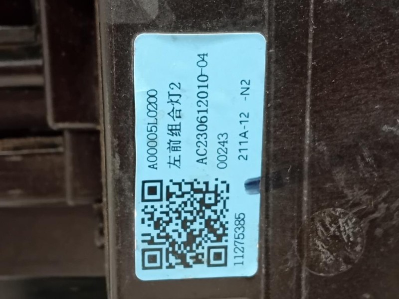 Proiettore ANT SX 11275385 Mg ZS II 2020