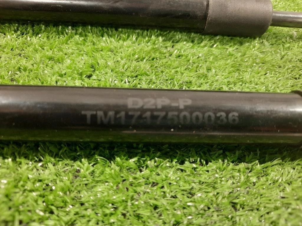 Ammortizzatore Portello POST DX TM1717500036 AMMORTIZATORE DX+SX Mercedes Classe SLK R171 2008