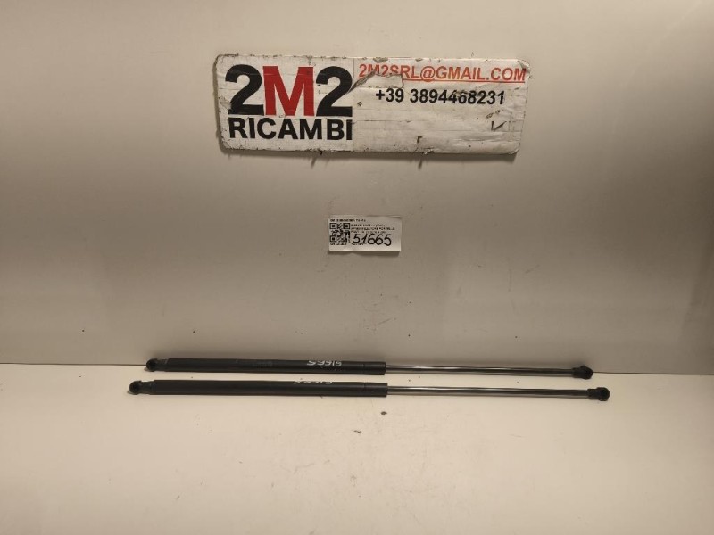 Ammortizzatore Portello POST DX 2098440260N DX+SX Nissan JUKE I 2010