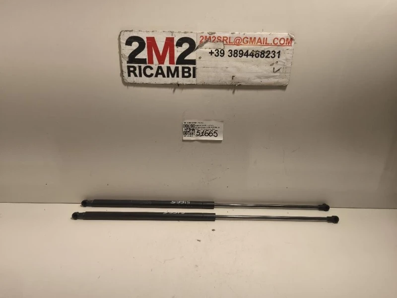 Ammortizzatore Portello POST DX 2098440260N DX+SX Nissan JUKE I 2010