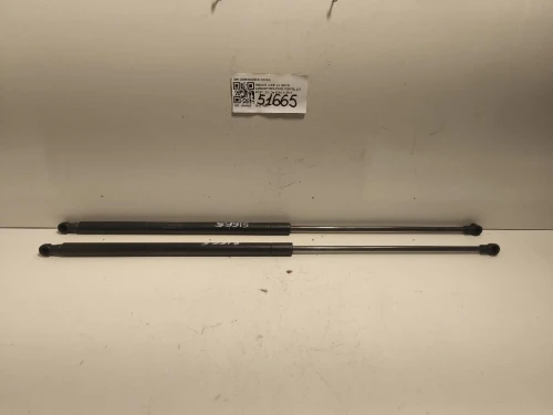 Ammortizzatore Portello POST DX 2098440260N DX+SX Nissan JUKE I 2010