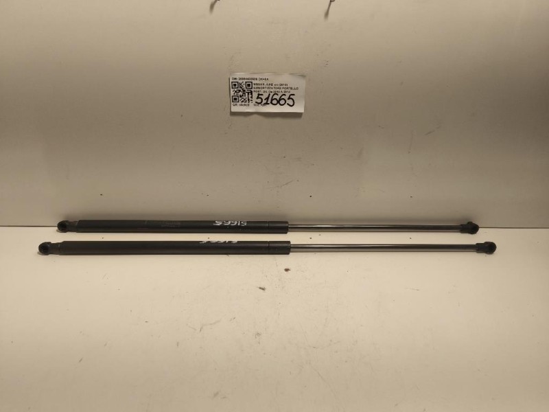 Ammortizzatore Portello POST DX 2098440260N DX+SX Nissan JUKE I 2010