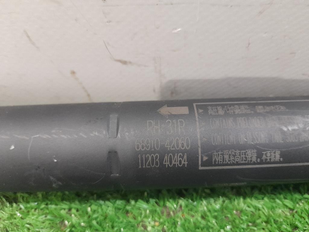 Ammortizzatore Portello POST DX 6891042060 Toyota RAV 4 V 2018