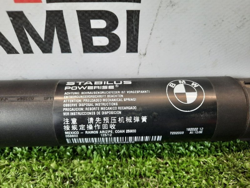 Ammortizzatore Portello POST SX 51247232003 AMMORTIZZATORE Bmw X3 F25 2014
