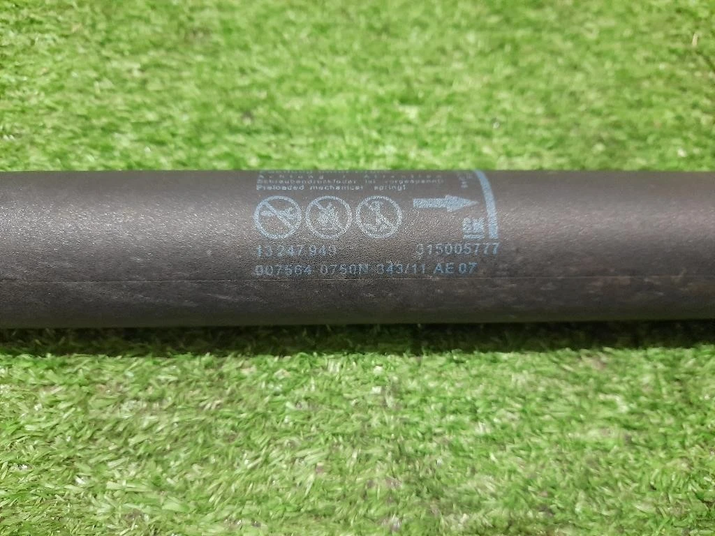 Ammortizzatore Portello POST SX 13247949 Opel Insignia A SW 2009