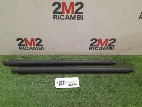 Ammortizzatore Portello POST SX 13247949 Opel Insignia A SW 2009