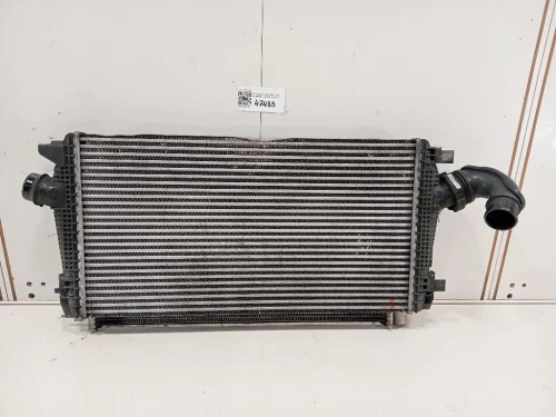 Radiatore Acqua 13267649 Chevrolet Orlando 2011