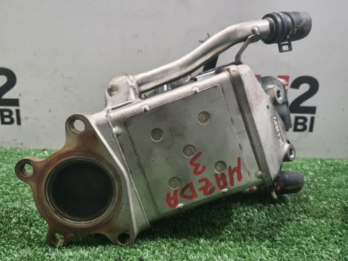 Radiatore EGR Bassa Pressione