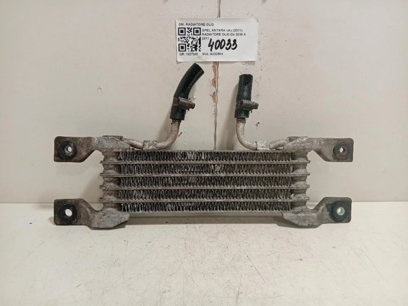 Radiatore OLIO RADIATORE OLIO Opel Antara A 2011