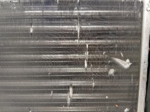 Proiettore ANT SX 218-1170L Suzuki Swift VI 2017