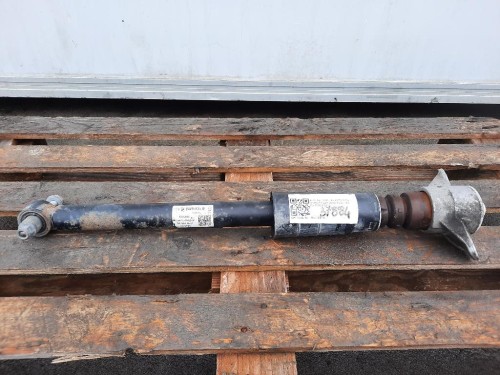 Ammortizzatore POST SX