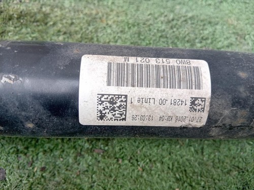 Ammortizzatore POST SX