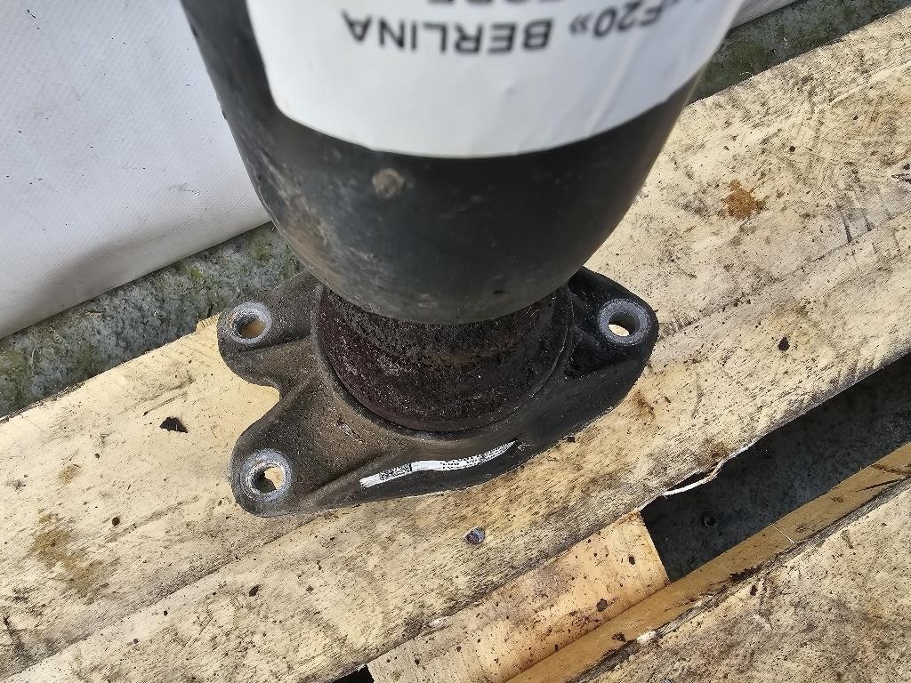 Ammortizzatore POST SX 6862172-01 SX Bmw Serie 1 F20 Berlina 2012