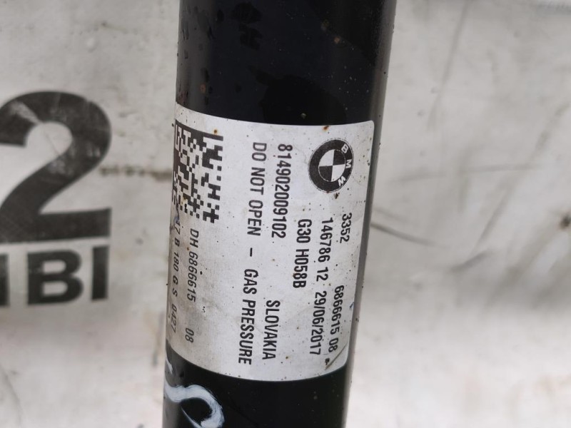 Ammortizzatore POST SX 6866615 Bmw Serie 5 G30 Berlina 2016