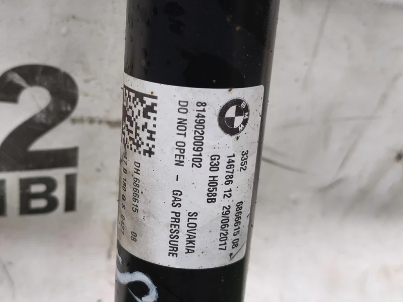 Ammortizzatore POST SX 6866615 Bmw Serie 5 G30 Berlina 2016