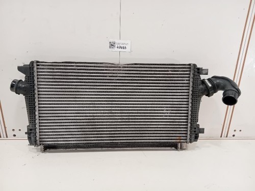 Radiatore Acqua 13267649 Chevrolet Orlando 2011